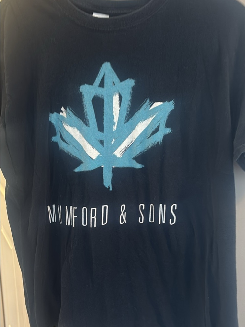 Gildan Black Tee with Light Blue Graphic